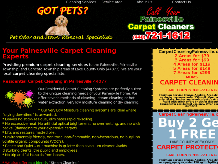 www.carpetcleaningpainesville.com