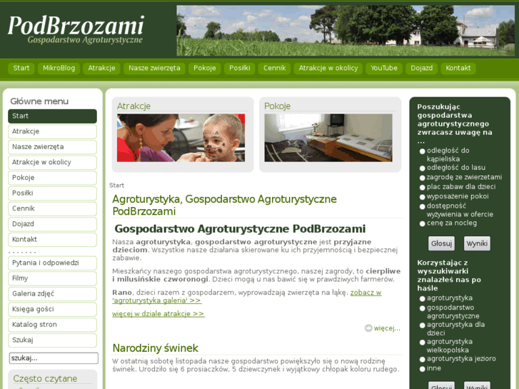 www.podbrzozami.com