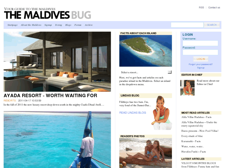 www.themaldivesbug.com