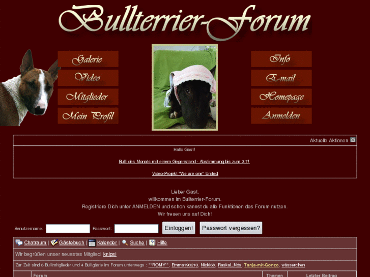 www.bullterrierforum.info