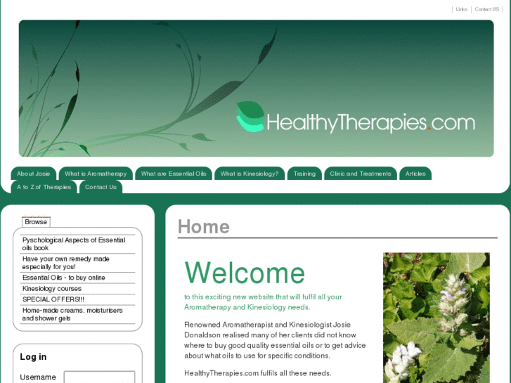 www.healthytherapies.com