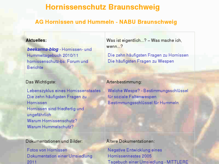 www.hornissenschutz-bs.de