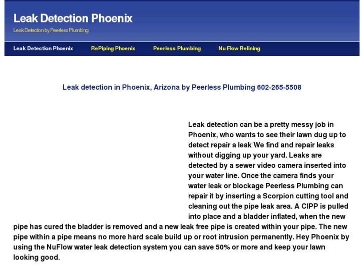 www.leakdetectionphoenix.com