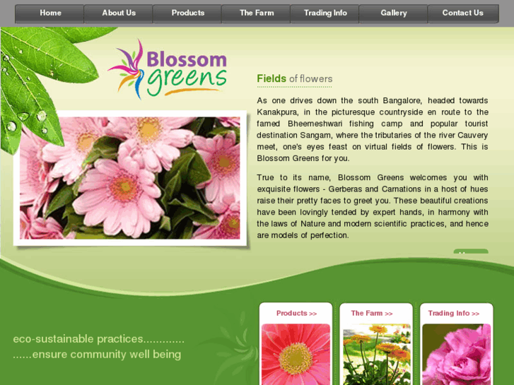 www.blossomgreens.com