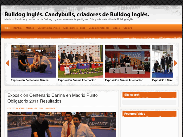 www.bulldog-ingles.com