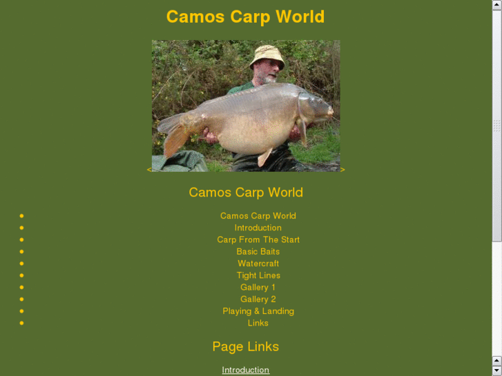 www.camoscarpworld.net