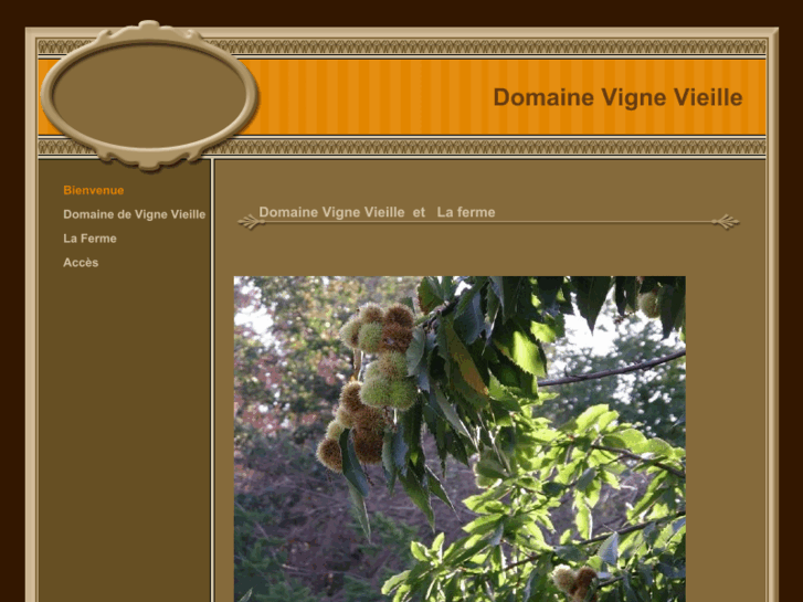 www.domainevignevieille.com