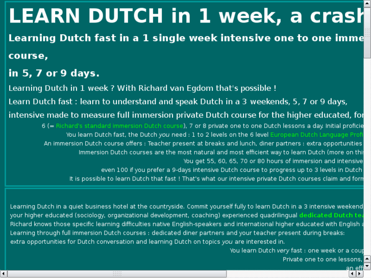 www.intensive-dutch-courses.com