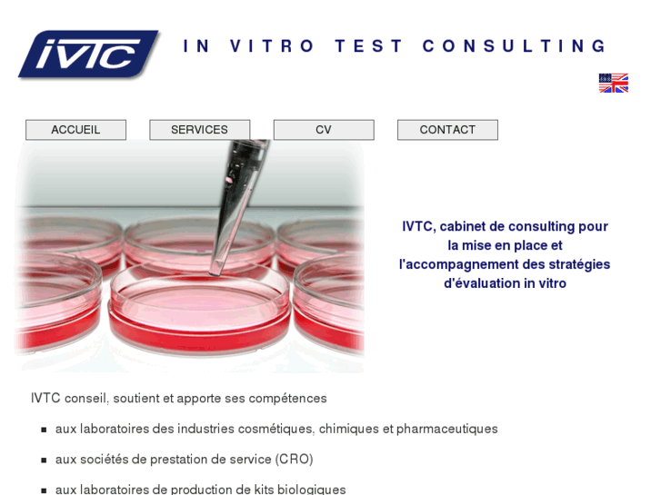 www.ivt-consulting.com