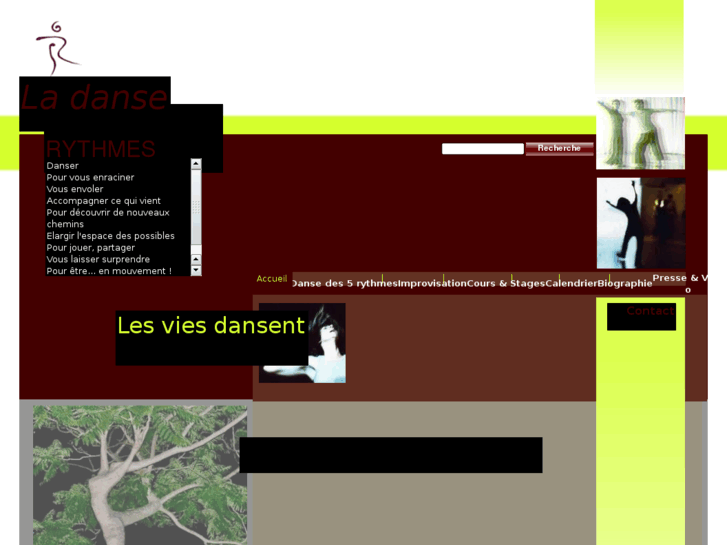 www.lesviesdansent.fr