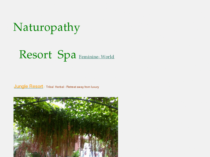 www.naturopathyresortspa.com