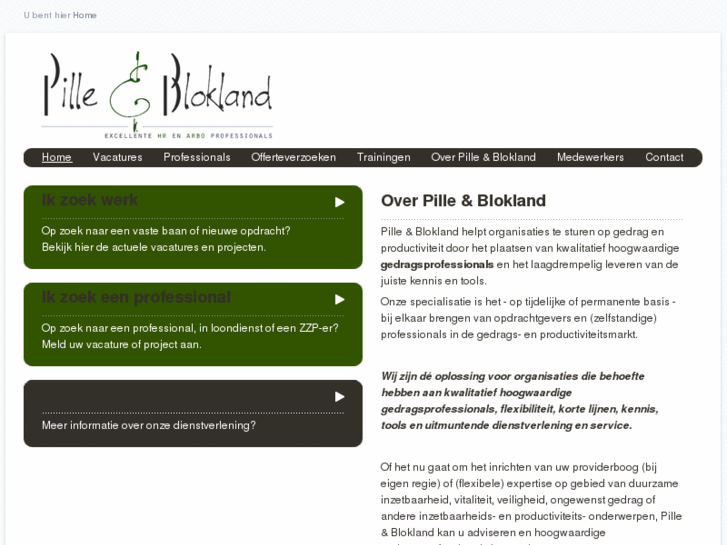 www.pilleblokland.nl