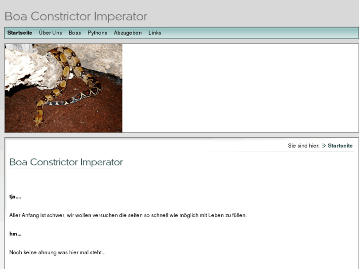 www.boa-constrictor-imperator.de