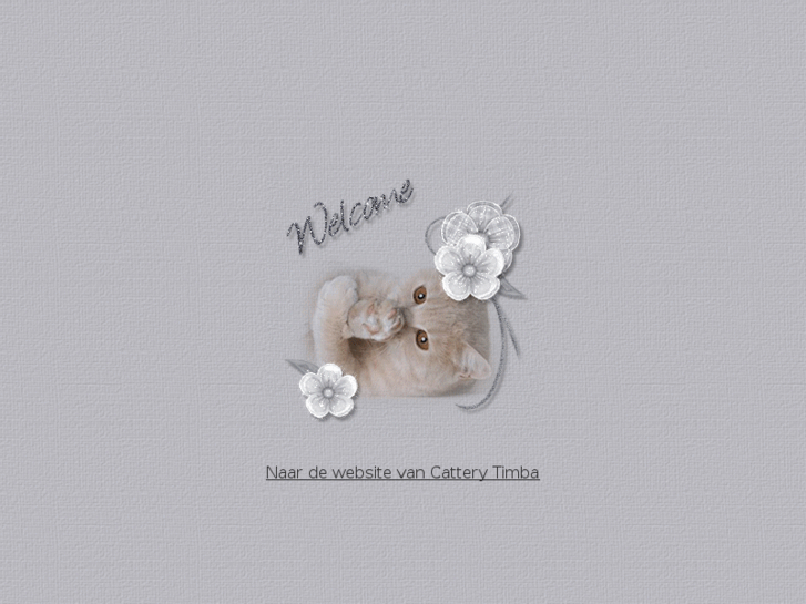 www.cattery-timba.com