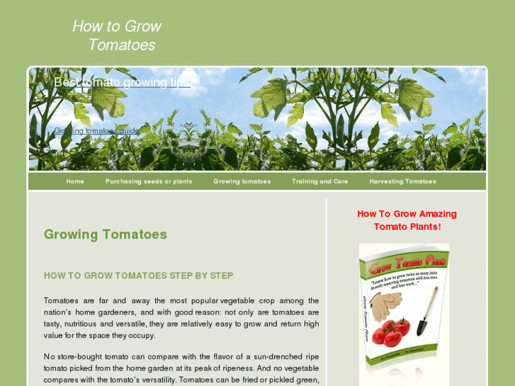 www.howtogrowtomatoe.com