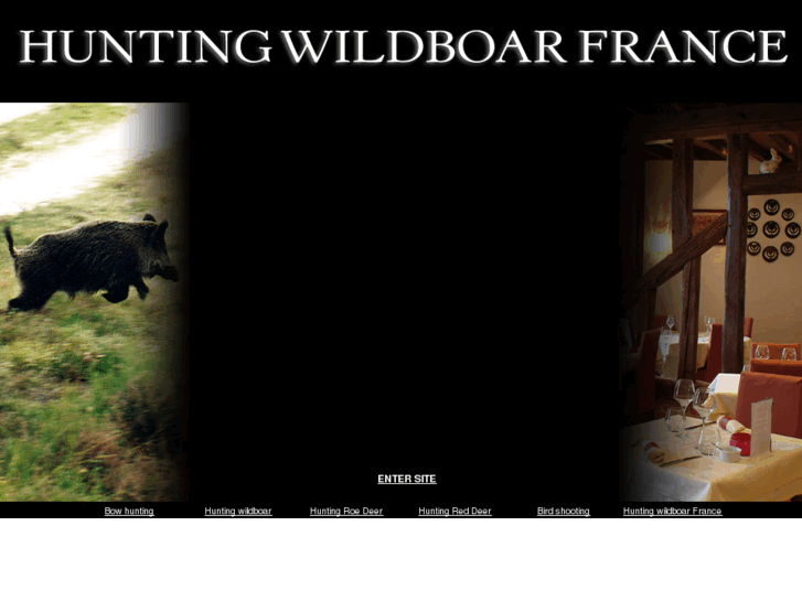 www.hunting-wildboar-france.com