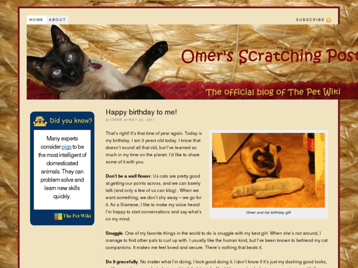 www.omersscratchingpost.com