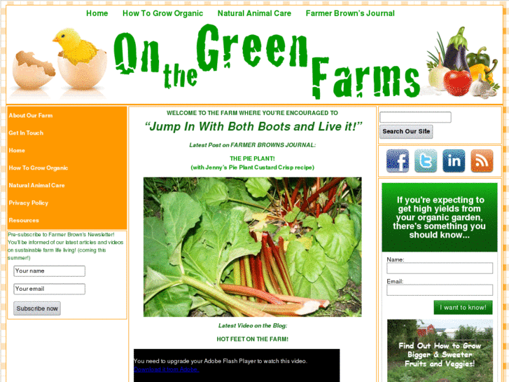 www.onthegreenfarms.com