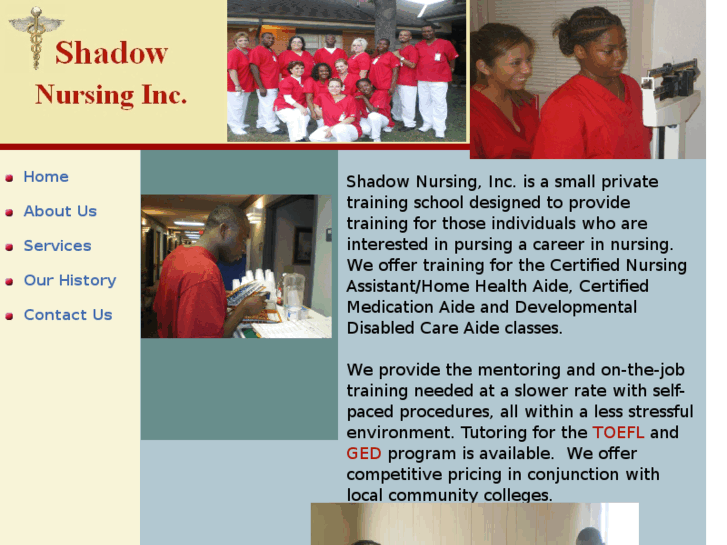 www.shadownursing.com