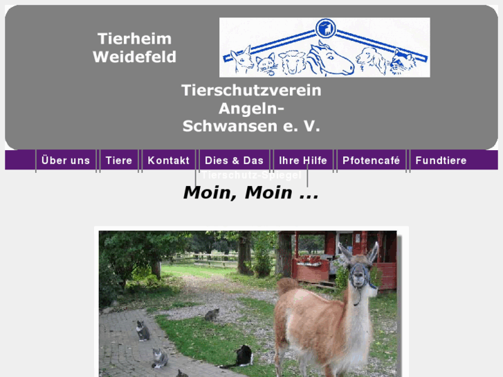 www.tierheim-weidefeld.de