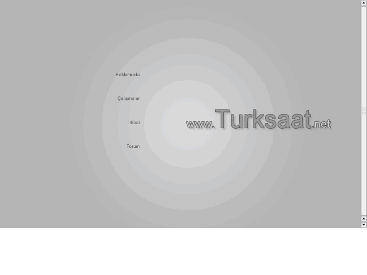 www.turksaat.net