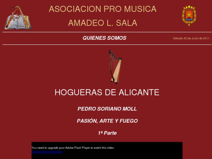 www.asociacionpromusicaamadeolsala.org