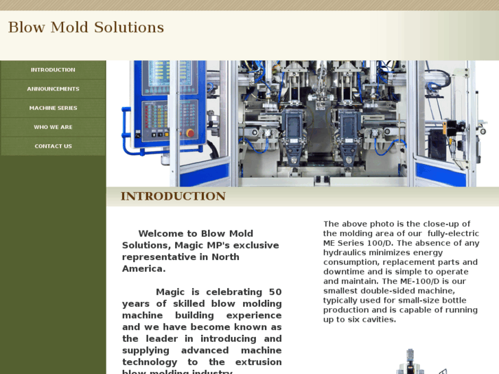 www.blowmoldsolutions.com