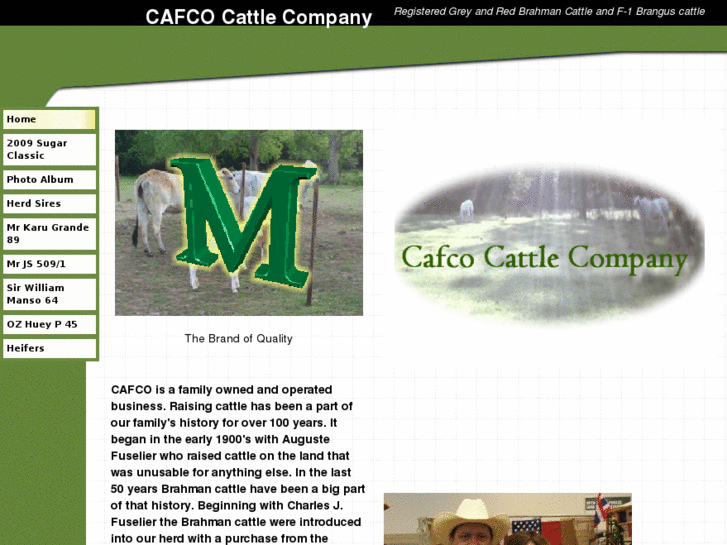 www.cafcocattlecompany.com