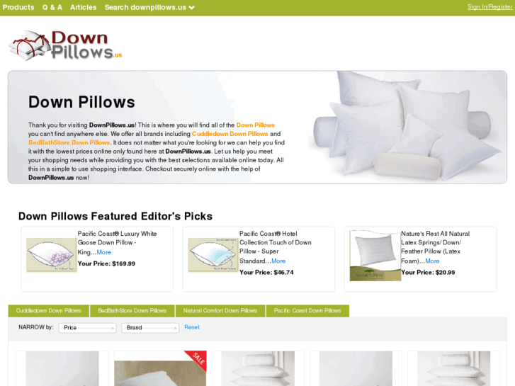 www.downpillows.us