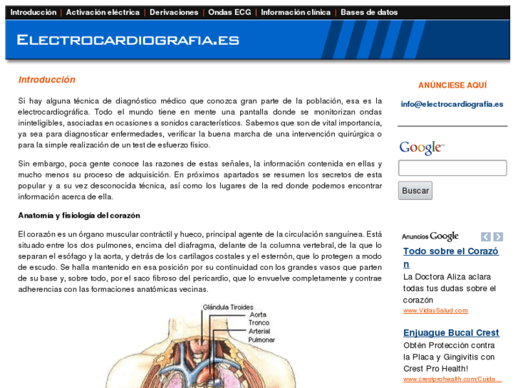 www.electrocardiografia.es