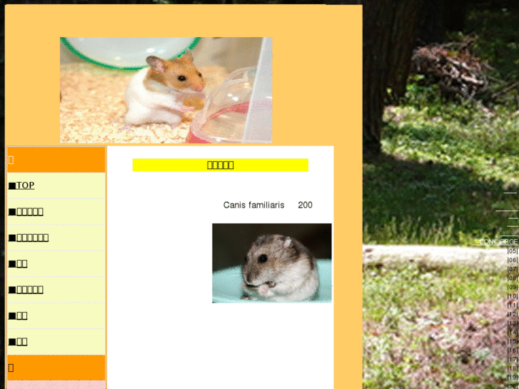 www.hamster-kaikata.com