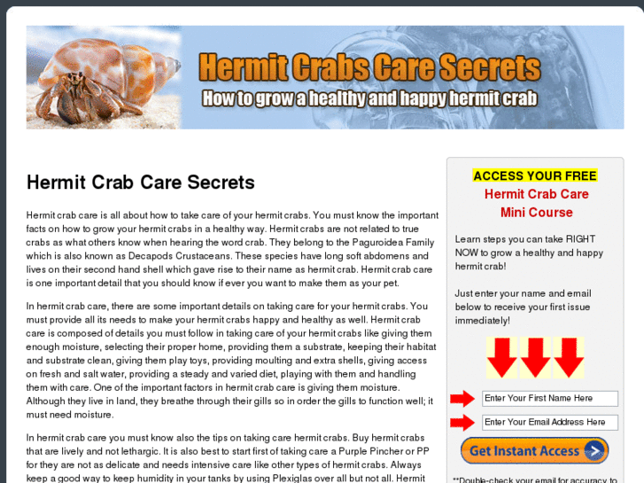 www.hermitcrabscaresecrets.com