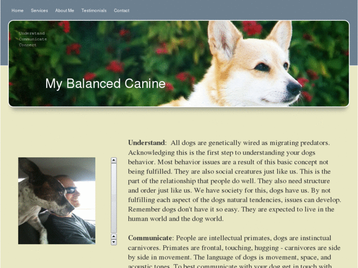 www.mybalancedcanine.com