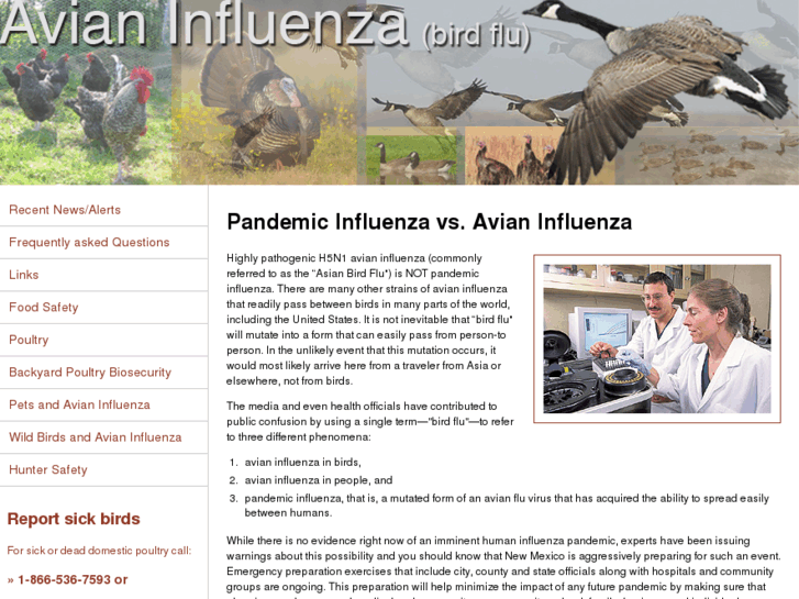 www.nmbirdflu.org
