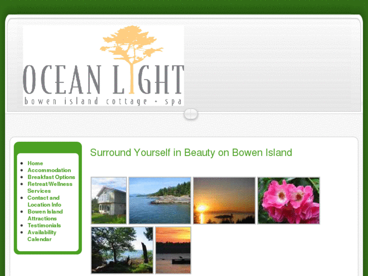 www.oceanlightcottage.com