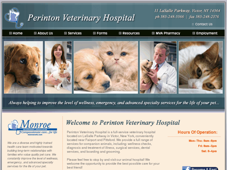 www.perintonvet.com