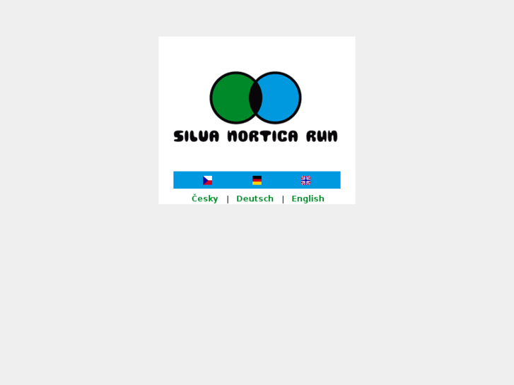 www.silvanorticarun.com