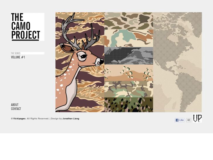 www.thecamoproject.com