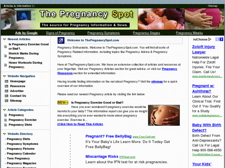 www.thepregnancyspot.com