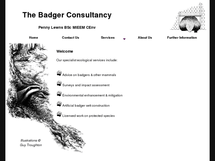 www.badgerconsultancy.com