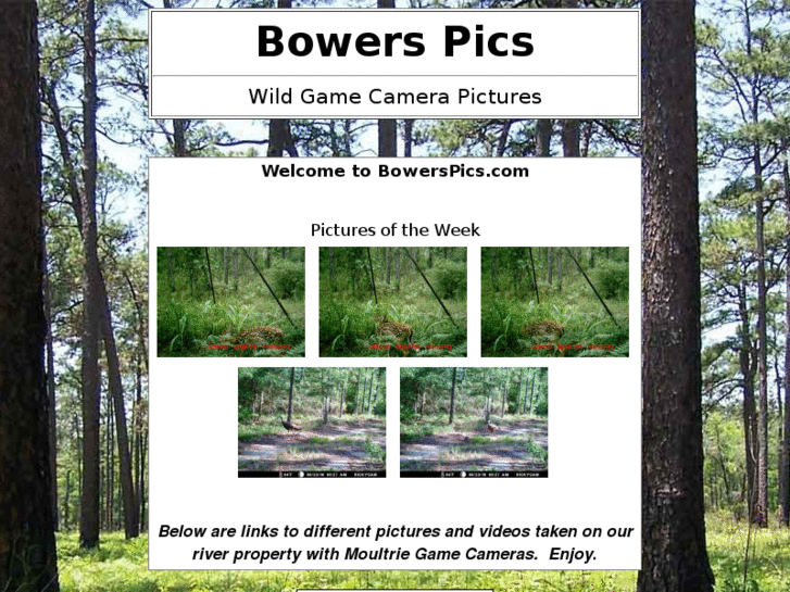 www.bowerspics.com