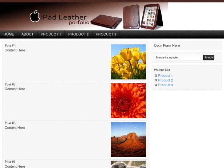 www.ipadleatherportfolio.net