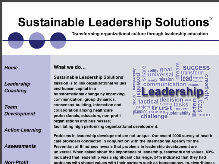 www.sustainableleadershipsolutions.com