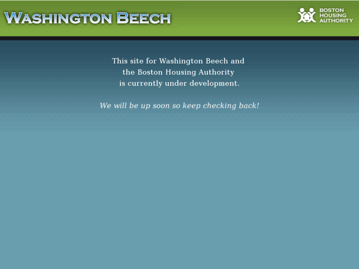 www.washingtonbeech.com