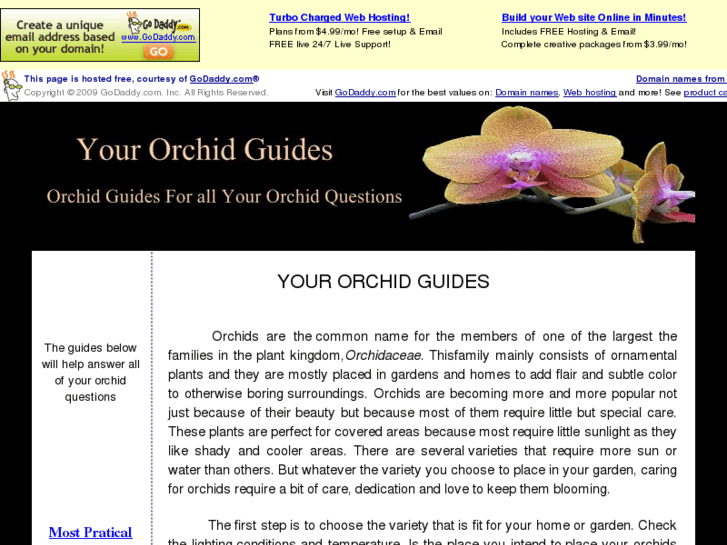 www.yourorchidguides.com