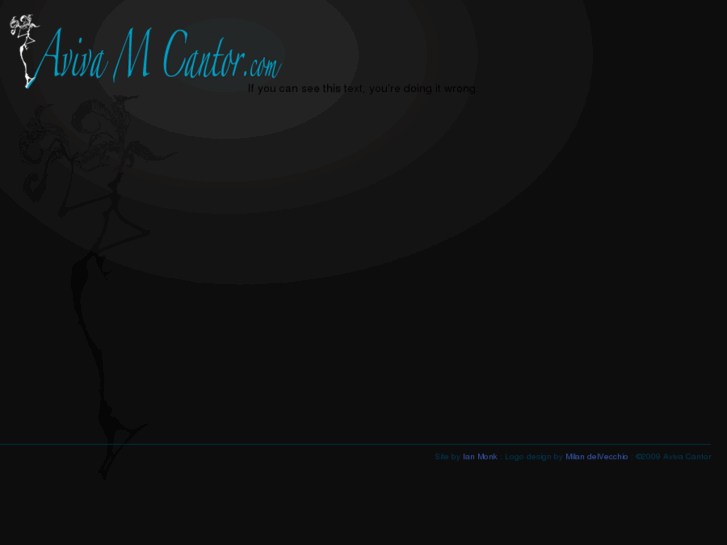 www.avivamcantor.com