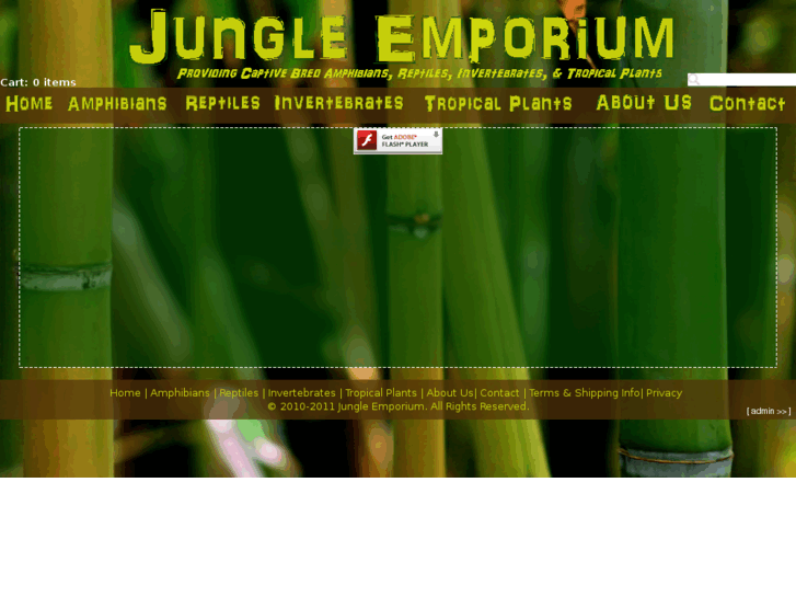 www.jungleemporium.com