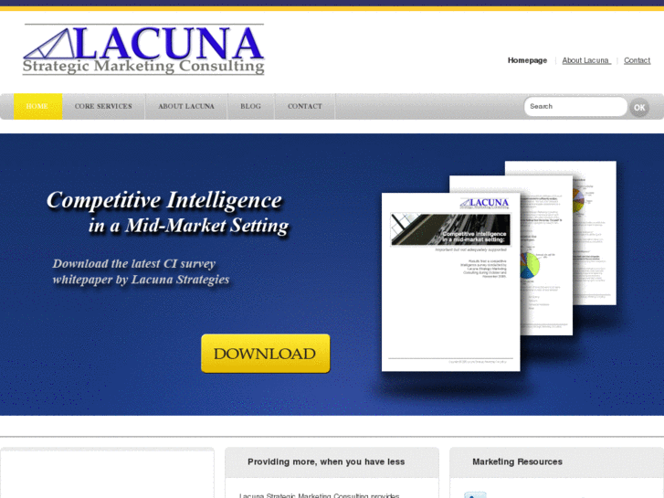 www.lacunastrategy.com