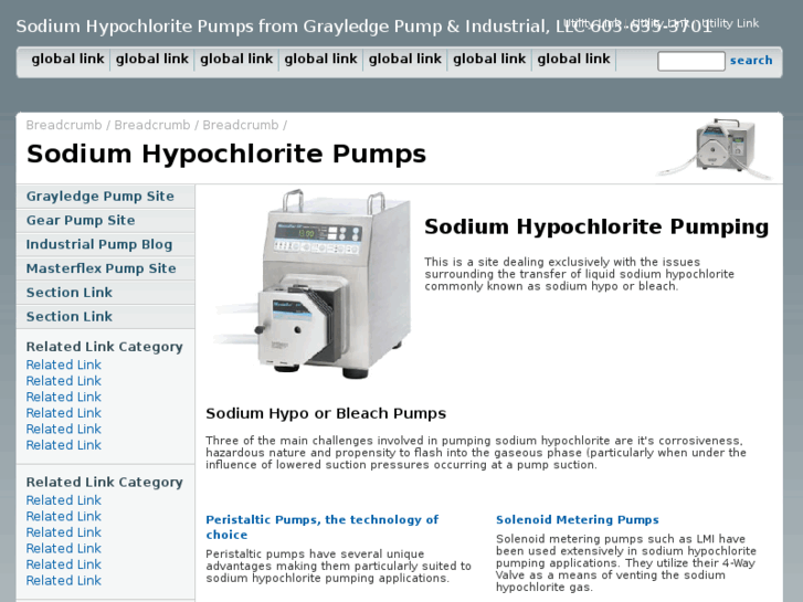 www.sodiumhypochloritepumps.com