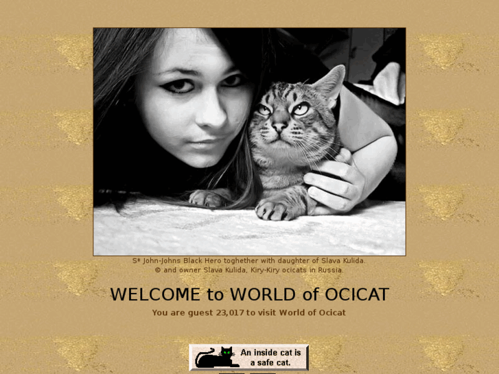 www.worldofocicat.com